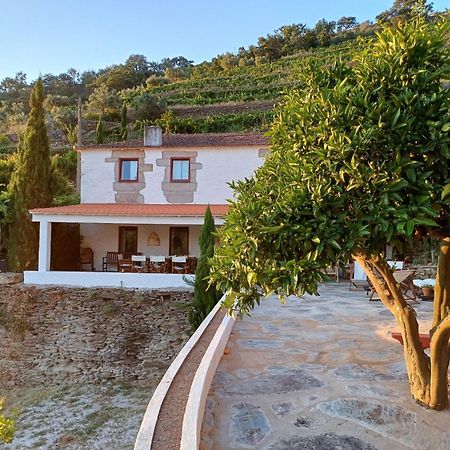 Country House Quinta Da Salgueira Аліжо Екстер'єр фото